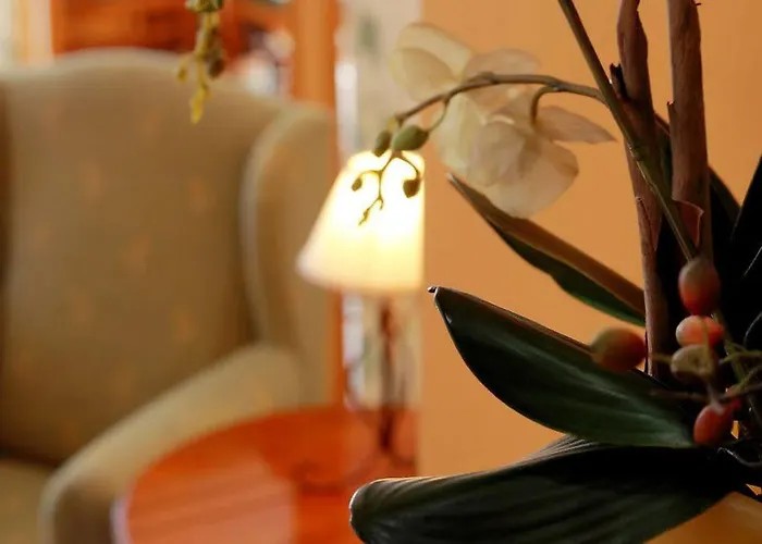 Modus Vivendi Sopelana